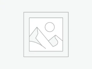 Skateboard dhe skuter